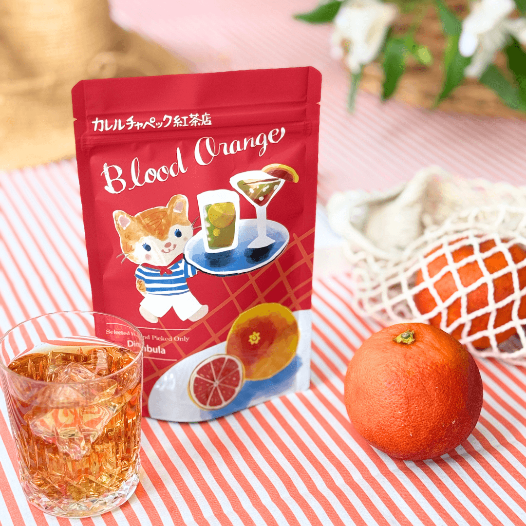 送料無料・16％OFF！】水出し商品 いいとこどりセット！ | カレル